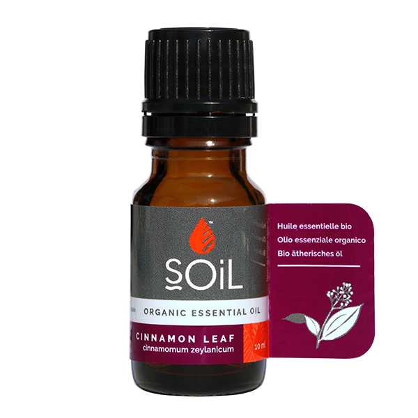 Ulei esential de scortisoara BIO Soil – 10 ml